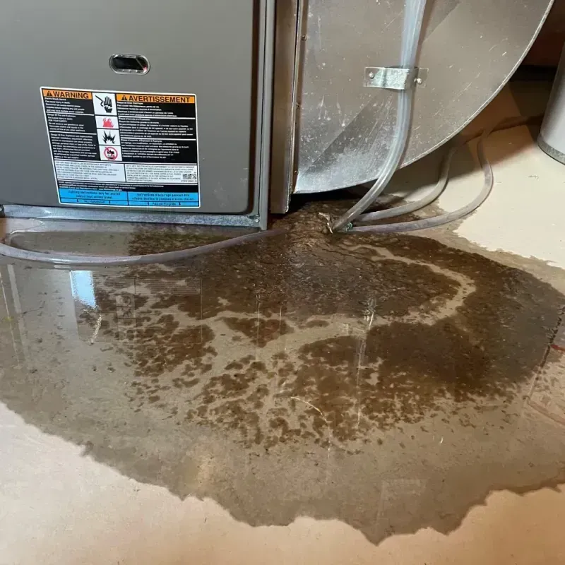 Appliance Leak Cleanup in Dorado, PR